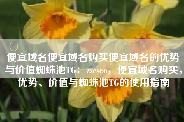 便宜域名便宜域名购买便宜域名的优势与价值蜘蛛池TG：zzcseo，便宜域名购买，优势、价值与蜘蛛池TG的使用指南