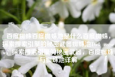 百度蜘蛛百度蜘蛛池是什么百度蜘蛛，探索搜索引擎的秘密武器蜘蛛池TG：zzcseo，探索搜索引擎的秘密武器，百度蜘蛛与蜘蛛池详解