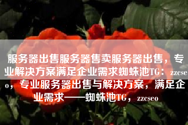 服务器出售服务器售卖服务器出售，专业解决方案满足企业需求蜘蛛池TG：zzcseo，专业服务器出售与解决方案，满足企业需求——蜘蛛池TG，zzcseo