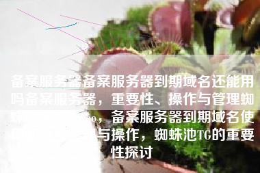 备案服务器备案服务器到期域名还能用吗备案服务器，重要性、操作与管理蜘蛛池TG：zzcseo，备案服务器到期域名使用问题及管理与操作，蜘蛛池TG的重要性探讨