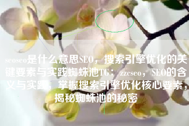 seoseo是什么意思SEO，搜索引擎优化的关键要素与实践蜘蛛池TG：zzcseo，SEO的含义与实践，掌握搜索引擎优化核心要素，揭秘蜘蛛池的秘密