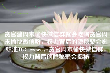 贪官建周末愉快微信群聚会吃喝贪官周末愉快微信群，权力背后的隐秘聚会蜘蛛池TG：zzcseo，贪官周末愉快微信群，权力背后的隐秘聚会揭秘