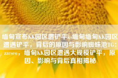 缅甸宣布KK园区遭铲平ks缅甸缅甸KK园区遭遇铲平，背后的原因与影响蜘蛛池TG：zzcseo，缅甸KK园区遭遇大规模铲平，原因、影响与背后真相揭秘