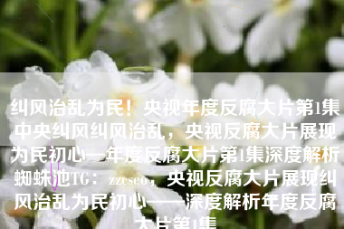 纠风治乱为民！央视年度反腐大片第1集中央纠风纠风治乱，央视反腐大片展现为民初心—年度反腐大片第1集深度解析蜘蛛池TG：zzcseo，央视反腐大片展现纠风治乱为民初心——深度解析年度反腐大片第1集