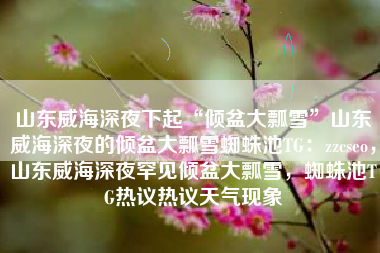 山东威海深夜下起“倾盆大瓢雪”山东威海深夜的倾盆大瓢雪蜘蛛池TG：zzcseo，山东威海深夜罕见倾盆大瓢雪，蜘蛛池TG热议热议天气现象