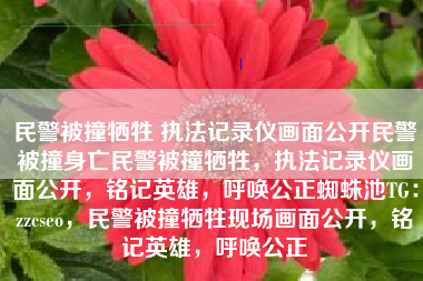 民警被撞牺牲 执法记录仪画面公开民警被撞身亡民警被撞牺牲，执法记录仪画面公开，铭记英雄，呼唤公正蜘蛛池TG：zzcseo，民警被撞牺牲现场画面公开，铭记英雄，呼唤公正