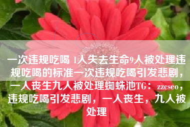 一次违规吃喝 1人失去生命9人被处理违规吃喝的标准一次违规吃喝引发悲剧，一人丧生九人被处理蜘蛛池TG：zzcseo，违规吃喝引发悲剧，一人丧生，九人被处理