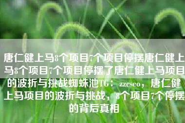 唐仁健上马8个项目7个项目停摆唐仁健上马8个项目7个项目停摆了唐仁健上马项目的波折与挑战蜘蛛池TG：zzcseo，唐仁健上马项目的波折与挑战，8个项目7个停摆的背后真相