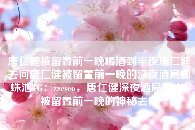 唐仁健被留置前一晚喝酒到半夜唐仁健去向唐仁健被留置前一晚的深夜酒局蜘蛛池TG：zzcseo，唐仁健深夜酒局曝光，被留置前一晚的神秘去向