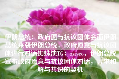 伊朗总统：政府愿与抗议团体会面伊朗总统来袭伊朗总统，政府愿意与抗议团体进行对话蜘蛛池TG：zzcseo，伊朗总统宣布政府愿意与抗议团体对话，寻求和解与共识的契机