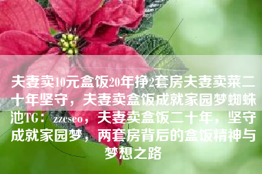 夫妻卖10元盒饭20年挣2套房夫妻卖菜二十年坚守，夫妻卖盒饭成就家园梦蜘蛛池TG：zzcseo，夫妻卖盒饭二十年，坚守成就家园梦，两套房背后的盒饭精神与梦想之路