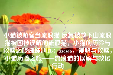 小猫被游客当流浪猫 反复被救下山流浪猫被困被误解的流浪猫，小猫的历险与救赎之旅蜘蛛池TG：zzcseo，误解与救赎，小猫历险之旅——流浪猫的误解与救援行动