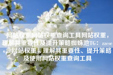 网站权重网站权重查询工具网站权重，理解其重要性及提升策略蜘蛛池TG：zzcseo，网站权重，理解其重要性、提升策略及使用网站权重查询工具