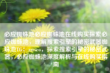 必应蜘蛛池必应蜘蛛池在线购买探索必应蜘蛛池，理解搜索引擎的秘密武器蜘蛛池TG：zzcseo，探索搜索引擎的秘密武器，必应蜘蛛池深度解析与在线购买指南
