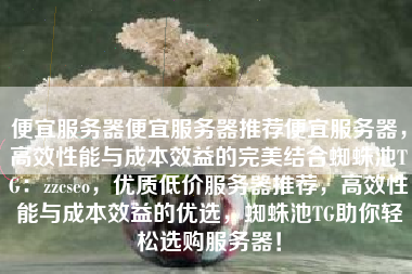 便宜服务器便宜服务器推荐便宜服务器，高效性能与成本效益的完美结合蜘蛛池TG：zzcseo，优质低价服务器推荐，高效性能与成本效益的优选，蜘蛛池TG助你轻松选购服务器！