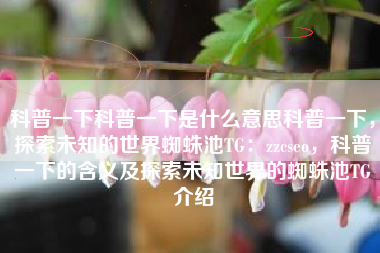 科普一下科普一下是什么意思科普一下，探索未知的世界蜘蛛池TG：zzcseo，科普一下的含义及探索未知世界的蜘蛛池TG介绍