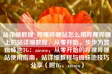站详细教程_哔哩哔哩站怎么用哔哩哔哩上的站详细教程，从零开始，步步为营蜘蛛池TG：zzcseo，从零开始的哔哩哔哩站使用指南，站详细教程与蜘蛛池技巧分享（附TG，zzcseo）