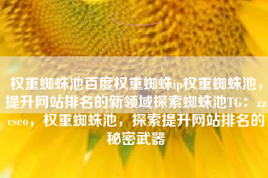权重蜘蛛池百度权重蜘蛛ip权重蜘蛛池，提升网站排名的新领域探索蜘蛛池TG：zzcseo，权重蜘蛛池，探索提升网站排名的秘密武器