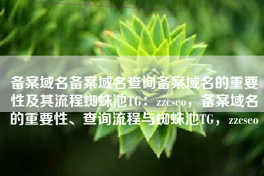 备案域名备案域名查询备案域名的重要性及其流程蜘蛛池TG：zzcseo，备案域名的重要性、查询流程与蜘蛛池TG，zzcseo