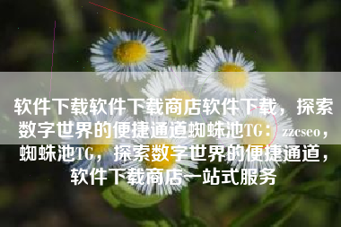 软件下载软件下载商店软件下载，探索数字世界的便捷通道蜘蛛池TG：zzcseo，蜘蛛池TG，探索数字世界的便捷通道，软件下载商店一站式服务