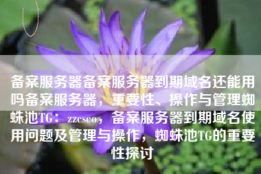 备案服务器备案服务器到期域名还能用吗备案服务器，重要性、操作与管理蜘蛛池TG：zzcseo，备案服务器到期域名使用问题及管理与操作，蜘蛛池TG的重要性探讨