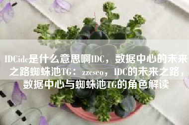 IDCidc是什么意思啊IDC，数据中心的未来之路蜘蛛池TG：zzcseo，IDC的未来之路，数据中心与蜘蛛池TG的角色解读