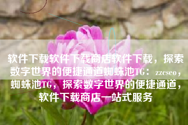 软件下载软件下载商店软件下载，探索数字世界的便捷通道蜘蛛池TG：zzcseo，蜘蛛池TG，探索数字世界的便捷通道，软件下载商店一站式服务
