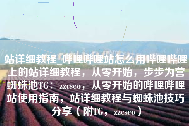 站详细教程_哔哩哔哩站怎么用哔哩哔哩上的站详细教程，从零开始，步步为营蜘蛛池TG：zzcseo，从零开始的哔哩哔哩站使用指南，站详细教程与蜘蛛池技巧分享（附TG，zzcseo）