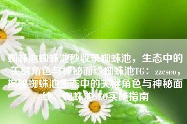 蜘蛛池蜘蛛池秒收录蜘蛛池，生态中的关键角色与神秘面纱蜘蛛池TG：zzcseo，揭秘蜘蛛池生态中的关键角色与神秘面纱，蜘蛛池SEO实践指南