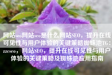网站seo网站seo是什么网站SEO，提升在线可见性与用户体验的关键策略蜘蛛池TG：zzcseo，网站SEO，提升在线可见性与用户体验的关键策略及蜘蛛池应用指南