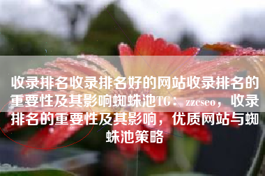 收录排名收录排名好的网站收录排名的重要性及其影响蜘蛛池TG：zzcseo，收录排名的重要性及其影响，优质网站与蜘蛛池策略