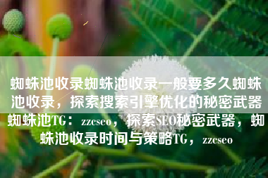 蜘蛛池收录蜘蛛池收录一般要多久蜘蛛池收录，探索搜索引擎优化的秘密武器蜘蛛池TG：zzcseo，探索SEO秘密武器，蜘蛛池收录时间与策略TG，zzcseo