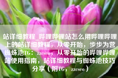 站详细教程_哔哩哔哩站怎么用哔哩哔哩上的站详细教程，从零开始，步步为营蜘蛛池TG：zzcseo，从零开始的哔哩哔哩站使用指南，站详细教程与蜘蛛池技巧分享（附TG，zzcseo）