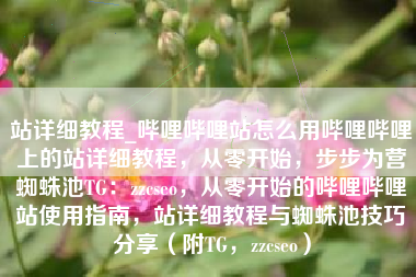 站详细教程_哔哩哔哩站怎么用哔哩哔哩上的站详细教程，从零开始，步步为营蜘蛛池TG：zzcseo，从零开始的哔哩哔哩站使用指南，站详细教程与蜘蛛池技巧分享（附TG，zzcseo）