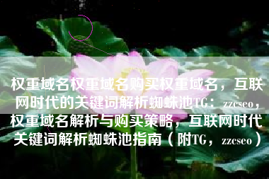 权重域名权重域名购买权重域名，互联网时代的关键词解析蜘蛛池TG：zzcseo，权重域名解析与购买策略，互联网时代关键词解析蜘蛛池指南（附TG，zzcseo）