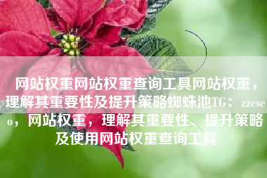 网站权重网站权重查询工具网站权重，理解其重要性及提升策略蜘蛛池TG：zzcseo，网站权重，理解其重要性、提升策略及使用网站权重查询工具