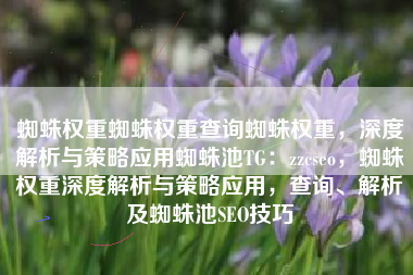 蜘蛛权重蜘蛛权重查询蜘蛛权重，深度解析与策略应用蜘蛛池TG：zzcseo，蜘蛛权重深度解析与策略应用，查询、解析及蜘蛛池SEO技巧