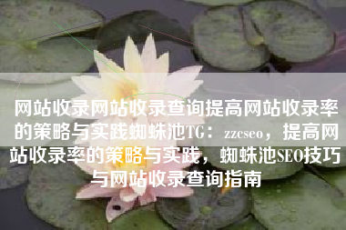 网站收录网站收录查询提高网站收录率的策略与实践蜘蛛池TG：zzcseo，提高网站收录率的策略与实践，蜘蛛池SEO技巧与网站收录查询指南