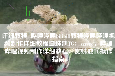 详细教程_哔哩哔哩bilibili教程哔哩哔哩视频制作详细教程蜘蛛池TG：zzcseo，哔哩哔哩视频制作详细教程，蜘蛛池TG操作指南