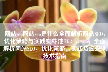 网站seo网站seo是什么全面解析网站SEO，优化策略与实践蜘蛛池TG：zzcseo，全面解析网站SEO，优化策略、实践及蜘蛛池技术指南