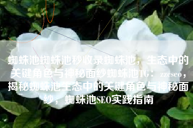 蜘蛛池蜘蛛池秒收录蜘蛛池，生态中的关键角色与神秘面纱蜘蛛池TG：zzcseo，揭秘蜘蛛池生态中的关键角色与神秘面纱，蜘蛛池SEO实践指南