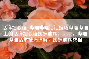 话详细教程_哔哩哔哩话话技巧哔哩哔哩上的话详细教程蜘蛛池TG：zzcseo，哔哩哔哩话术技巧详解，蜘蛛池TG教程