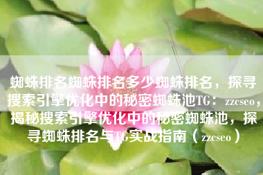 蜘蛛排名蜘蛛排名多少蜘蛛排名，探寻搜索引擎优化中的秘密蜘蛛池TG：zzcseo，揭秘搜索引擎优化中的秘密蜘蛛池，探寻蜘蛛排名与TG实战指南（zzcseo）