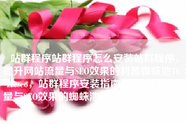 站群程序站群程序怎么安装站群程序，提升网站流量与SEO效果的利器蜘蛛池TG：zzcseo，站群程序安装指南，提升网站流量与SEO效果的蜘蛛池利器，TG教程分享。