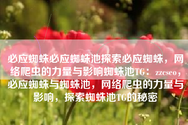 必应蜘蛛必应蜘蛛池探索必应蜘蛛，网络爬虫的力量与影响蜘蛛池TG：zzcseo，必应蜘蛛与蜘蛛池，网络爬虫的力量与影响，探索蜘蛛池TG的秘密