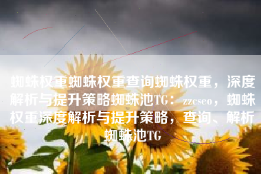 蜘蛛权重蜘蛛权重查询蜘蛛权重，深度解析与提升策略蜘蛛池TG：zzcseo，蜘蛛权重深度解析与提升策略，查询、解析蜘蛛池TG