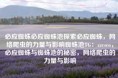 必应蜘蛛必应蜘蛛池探索必应蜘蛛，网络爬虫的力量与影响蜘蛛池TG：zzcseo，必应蜘蛛与蜘蛛池的秘密，网络爬虫的力量与影响