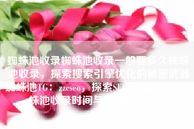 蜘蛛池收录蜘蛛池收录一般要多久蜘蛛池收录，探索搜索引擎优化的秘密武器蜘蛛池TG：zzcseo，探索SEO秘密武器，蜘蛛池收录时间与策略TG，zzcseo