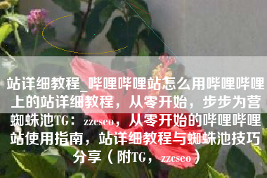 站详细教程_哔哩哔哩站怎么用哔哩哔哩上的站详细教程，从零开始，步步为营蜘蛛池TG：zzcseo，从零开始的哔哩哔哩站使用指南，站详细教程与蜘蛛池技巧分享（附TG，zzcseo）