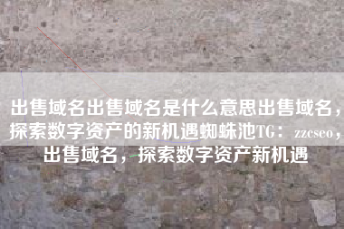 出售域名出售域名是什么意思出售域名，探索数字资产的新机遇蜘蛛池TG：zzcseo，出售域名，探索数字资产新机遇